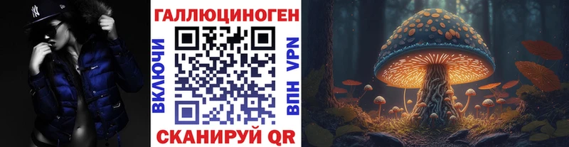 Псилоцибиновые грибы Psilocybe  Дубовка 